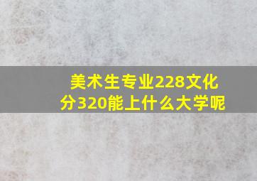 美术生专业228文化分320能上什么大学呢