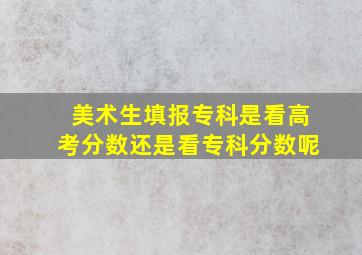 美术生填报专科是看高考分数还是看专科分数呢