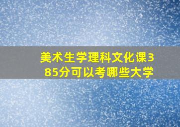 美术生学理科文化课385分可以考哪些大学