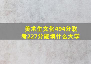 美术生文化494分联考227分能填什么大学