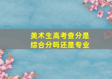 美术生高考查分是综合分吗还是专业