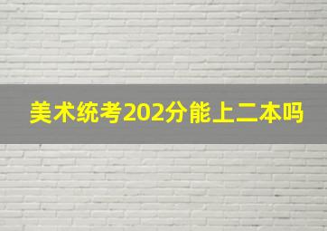 美术统考202分能上二本吗