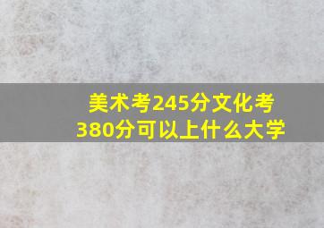 美术考245分文化考380分可以上什么大学