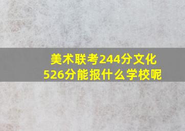 美术联考244分文化526分能报什么学校呢