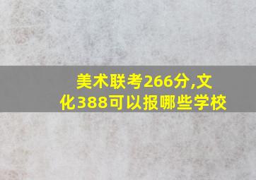 美术联考266分,文化388可以报哪些学校