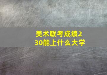 美术联考成绩230能上什么大学