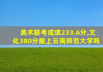 美术联考成绩233.6分,文化380分能上云南师范大学吗