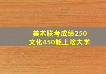 美术联考成绩250文化450能上啥大学