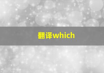 翻译which