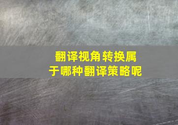 翻译视角转换属于哪种翻译策略呢