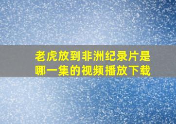 老虎放到非洲纪录片是哪一集的视频播放下载