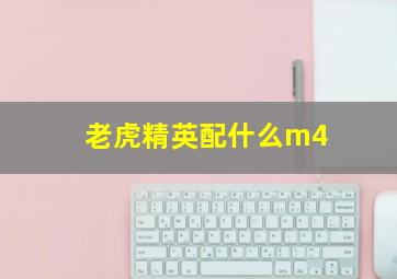 老虎精英配什么m4