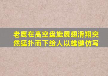 老鹰在高空盘旋展翅滑翔突然猛扑而下给人以雄健仿写