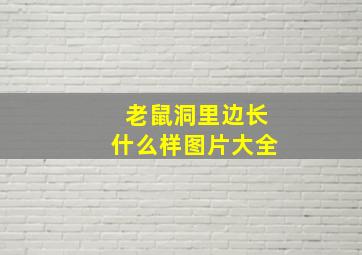 老鼠洞里边长什么样图片大全