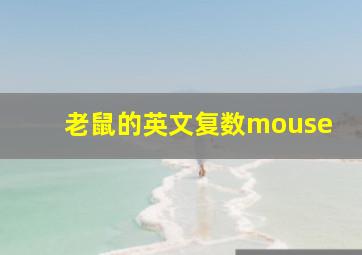 老鼠的英文复数mouse