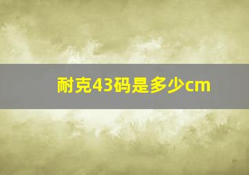 耐克43码是多少cm