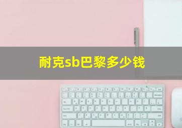 耐克sb巴黎多少钱