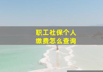 职工社保个人缴费怎么查询