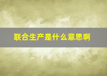 联合生产是什么意思啊