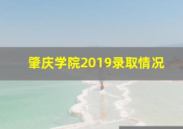 肇庆学院2019录取情况