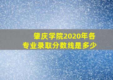 肇庆学院2020年各专业录取分数线是多少