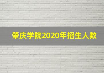 肇庆学院2020年招生人数