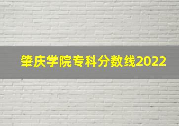 肇庆学院专科分数线2022