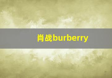 肖战burberry