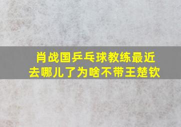 肖战国乒乓球教练最近去哪儿了为啥不带王楚钦