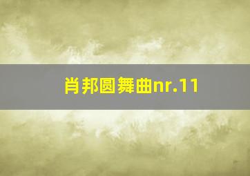 肖邦圆舞曲nr.11