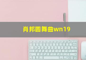 肖邦圆舞曲wn19