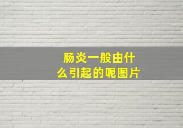 肠炎一般由什么引起的呢图片