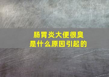 肠胃炎大便很臭是什么原因引起的