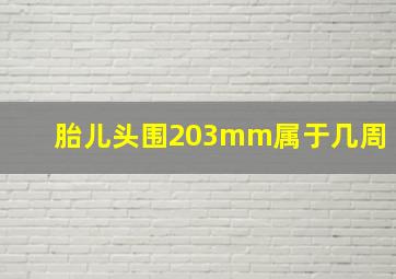 胎儿头围203mm属于几周