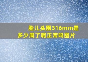 胎儿头围316mm是多少周了呢正常吗图片