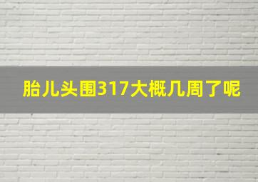 胎儿头围317大概几周了呢