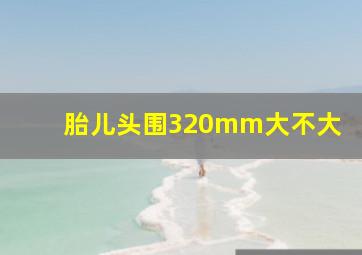 胎儿头围320mm大不大