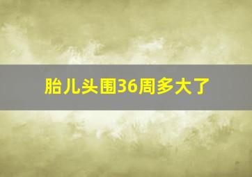 胎儿头围36周多大了