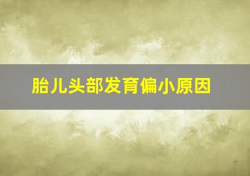 胎儿头部发育偏小原因