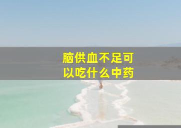 脑供血不足可以吃什么中药