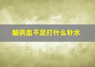 脑供血不足打什么针水