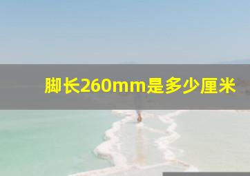 脚长260mm是多少厘米