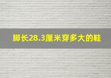 脚长28.3厘米穿多大的鞋