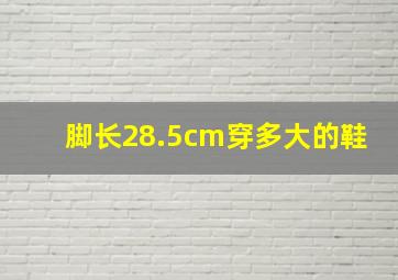 脚长28.5cm穿多大的鞋