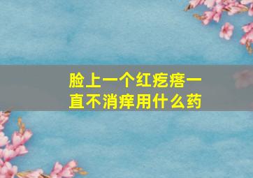 脸上一个红疙瘩一直不消痒用什么药