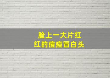 脸上一大片红红的痘痘冒白头