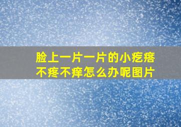 脸上一片一片的小疙瘩不疼不痒怎么办呢图片