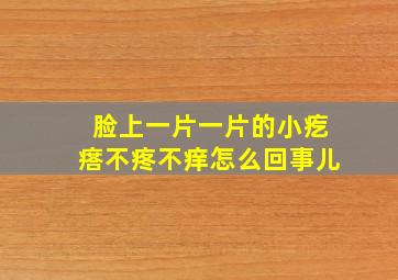 脸上一片一片的小疙瘩不疼不痒怎么回事儿