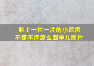 脸上一片一片的小疙瘩不疼不痒怎么回事儿图片