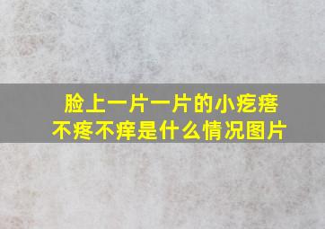 脸上一片一片的小疙瘩不疼不痒是什么情况图片